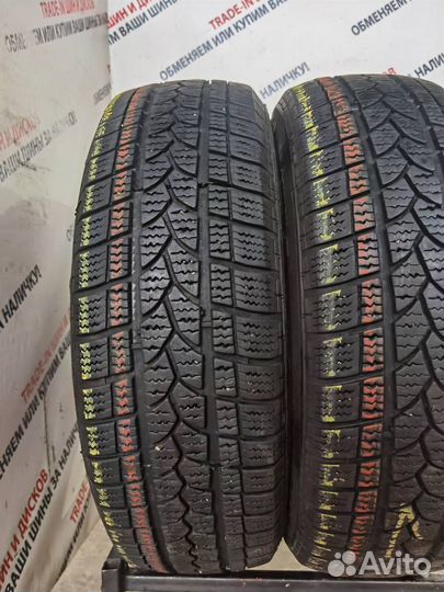 Tigar Winter 1 195/65 R15 95T