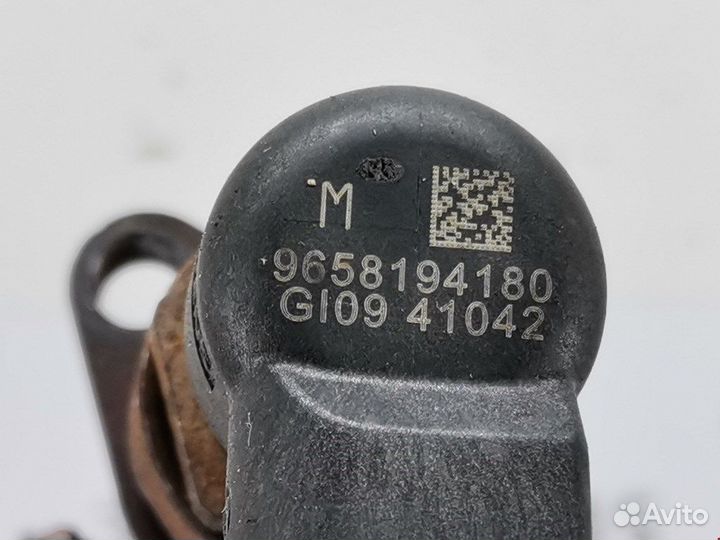 Форсунка для Peugeot-Citroen C4 Picasso 1