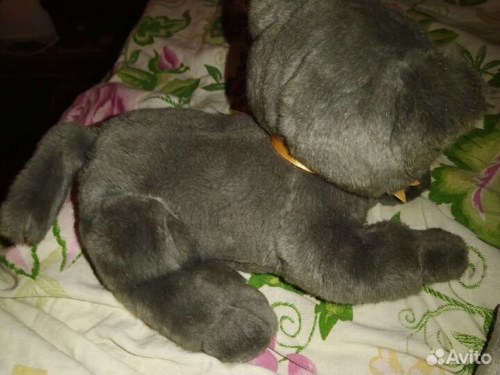 Плюшевые котята