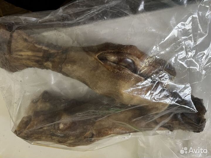 Вкусняшки для собак