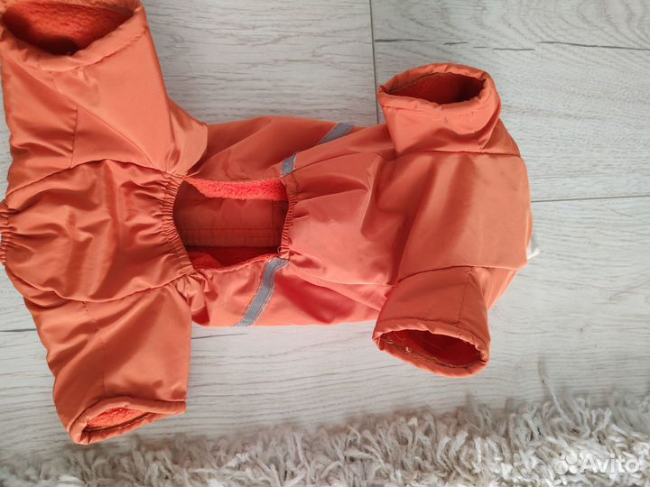 Одежда для маленьких собак