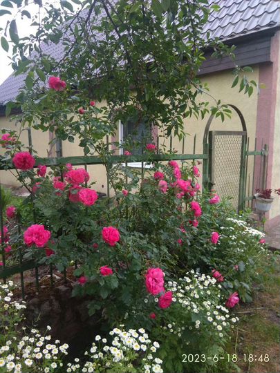 Дом 57 м² на участке 12 сот.