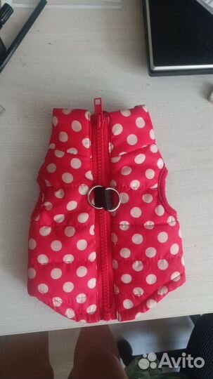 Одежда для собак