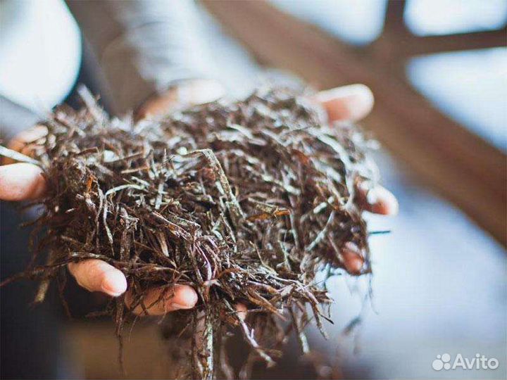 Грибной компост, удобрения