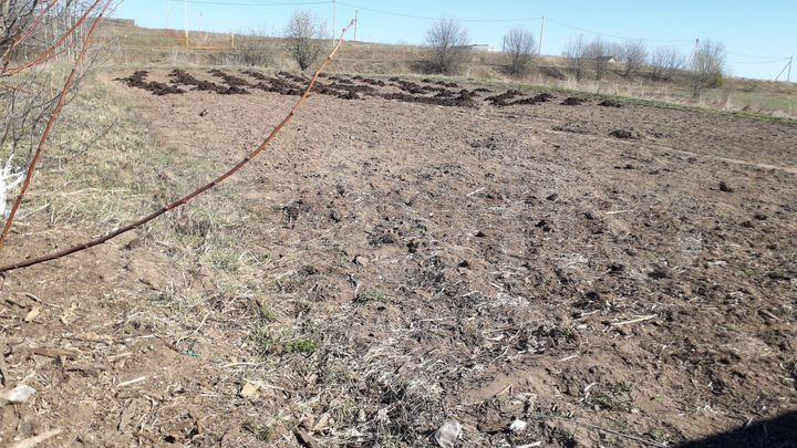 Участок 15 сот. (ИЖС)