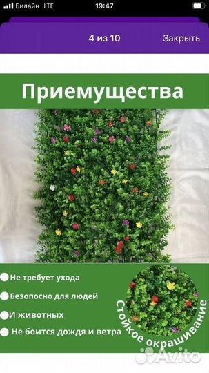 Искуственная трава. Самшитовый ковиик