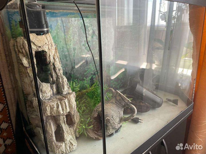 Аквариум 160 литров
