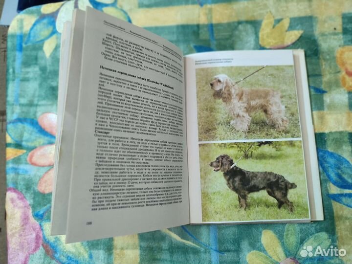Атлас пород собак