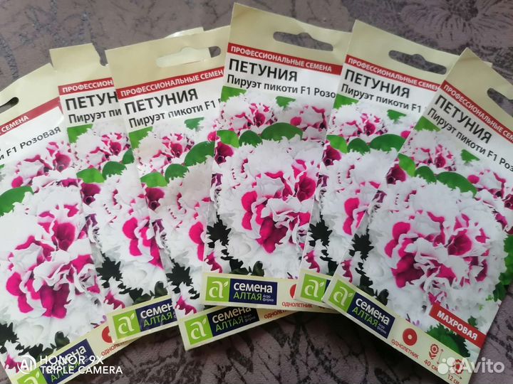 Семена петунии