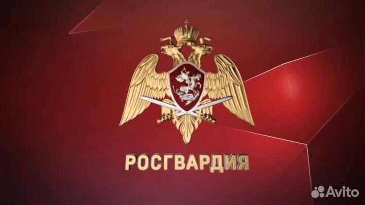 Старший полицейский водитель