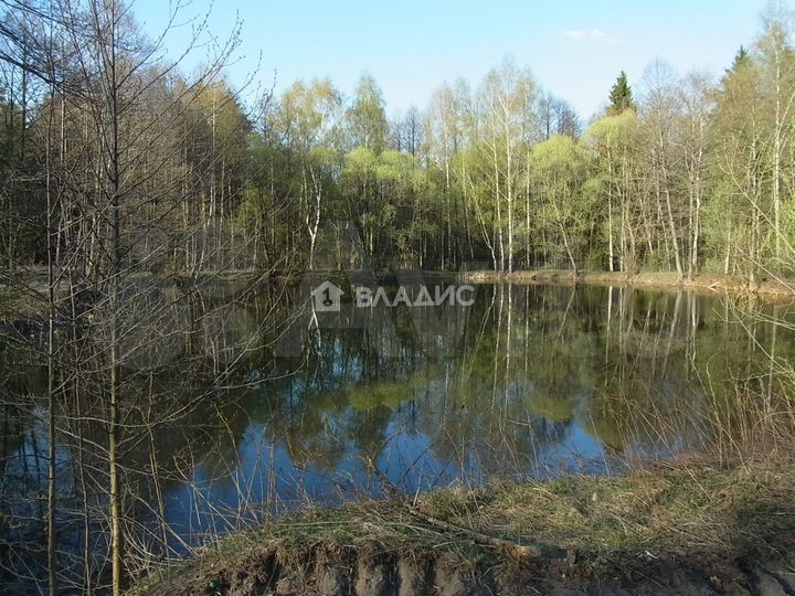 Участок 9,4 сот. (ИЖС)