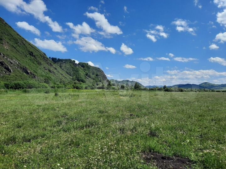 Участок 4,8 га (СНТ, ДНП)