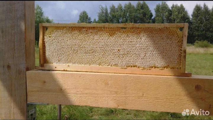 Сотовый мёд