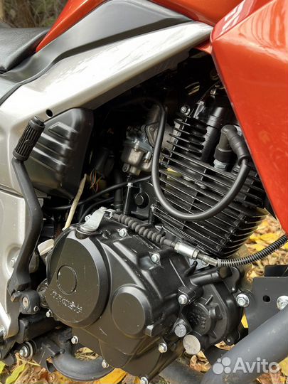 Racer fighter RC250CK-N
