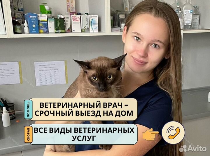 Ветеринарная помощь. Врач с выездом на дом