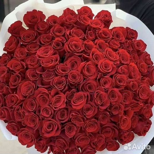 Высокие Розы Гиганты Доставка Круглосуточно