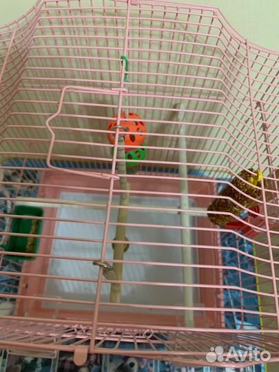Клетка для птиц