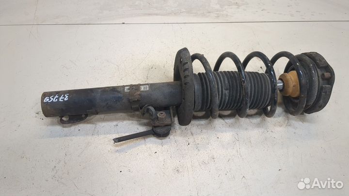 Амортизатор подвески Seat Ibiza 4, 2009