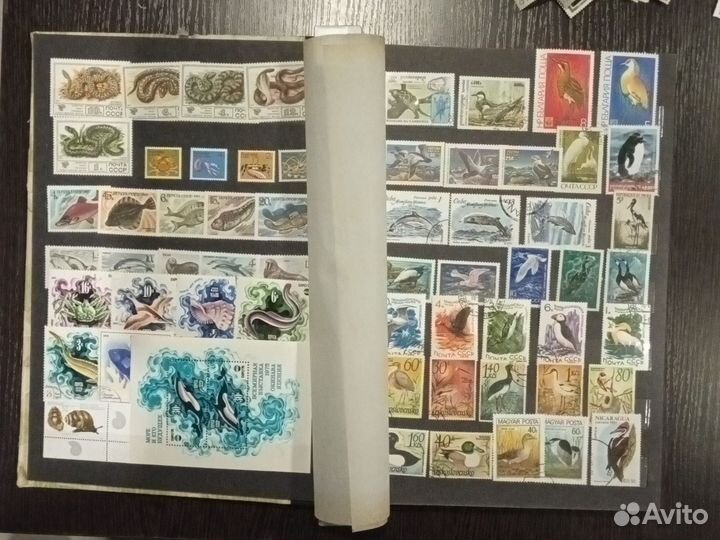 Марки флора и фауна