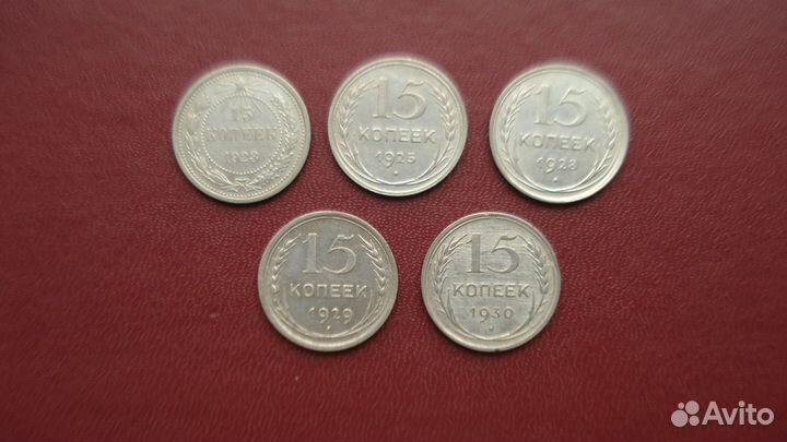 Суккуленты