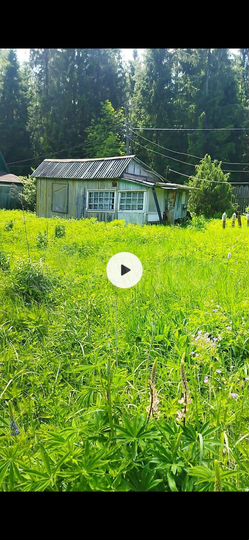 Участок 13 сот. (СНТ, ДНП)