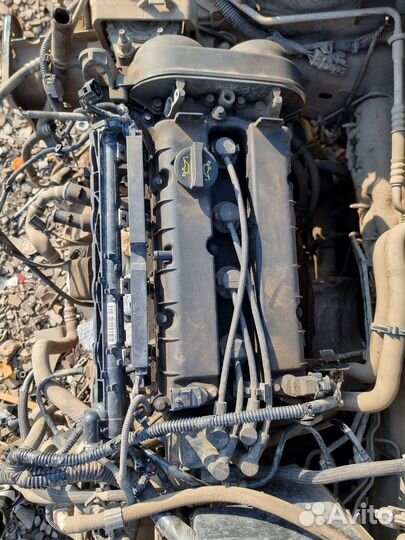 Двигатель Ford Focus 2 (1.6, 115 л.с)