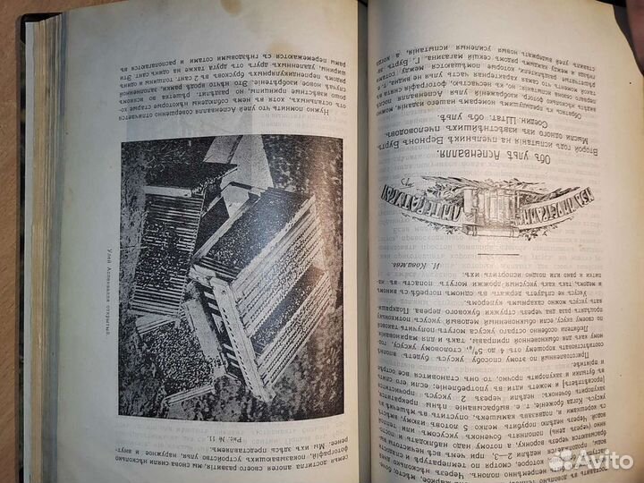 Пчеловодное хозяйство подшивка за 1912