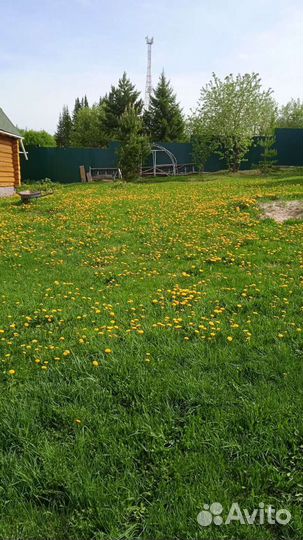 Покос травы триммером