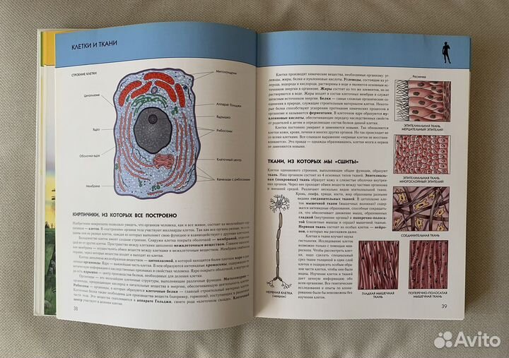 Детская энциклопедия