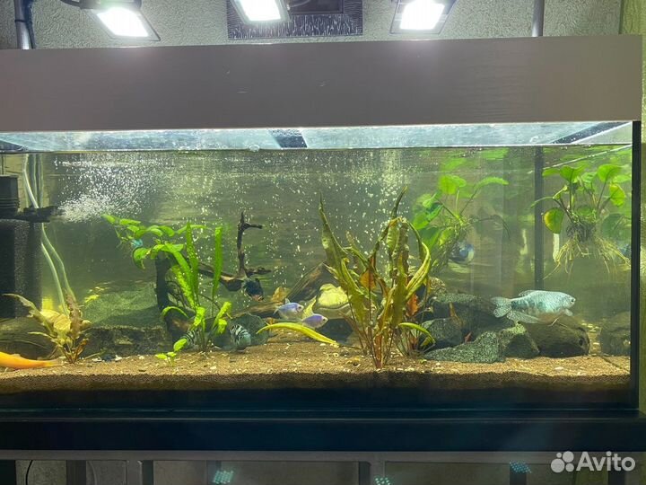 Аквариум 130 литров с тумбой
