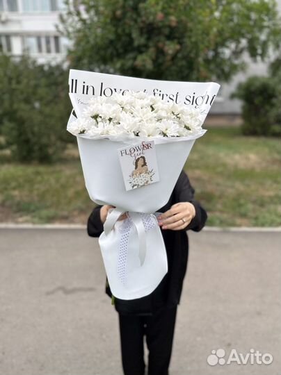 Ромашки Хризантемы Цветы Доставка