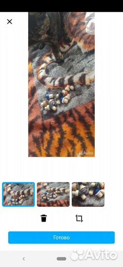 З а т ы ч к и пробки