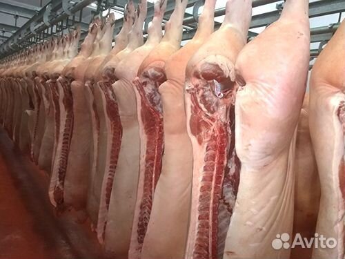 Мясо свинина полутуши