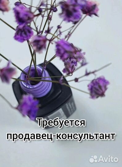 Продавец консультант