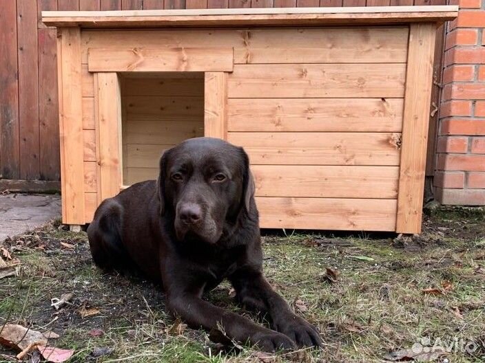 Будка собачья для лайки овчарки алабая новая