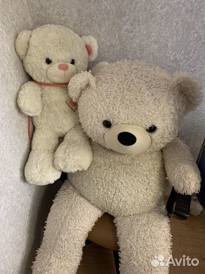 Плюшевые медведи