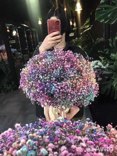 Цветы гипсофила