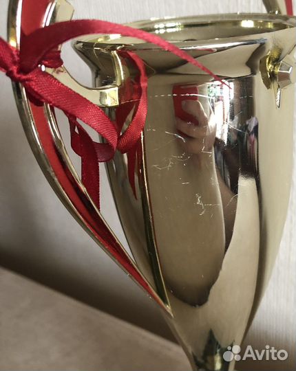 Кубок спортивный/наградной