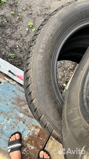 Tigar Winter 185/65 R15 92