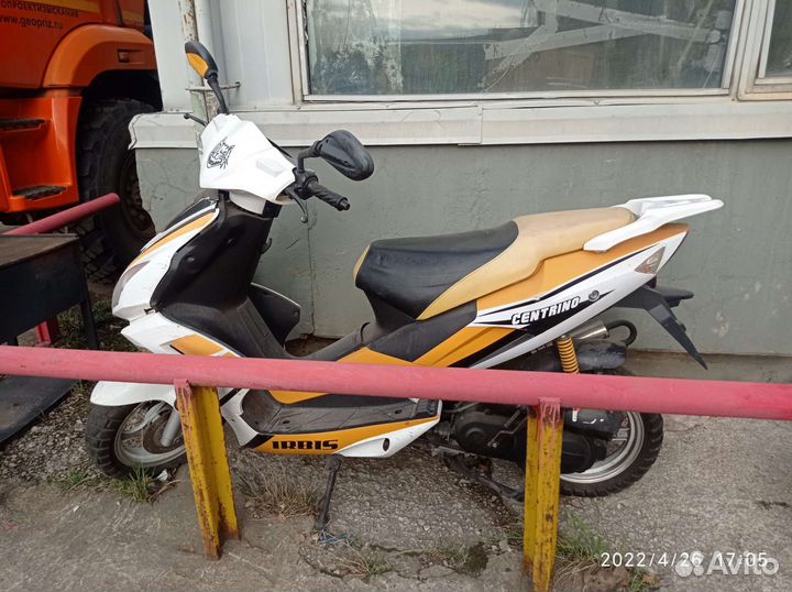 Ирбис центрино