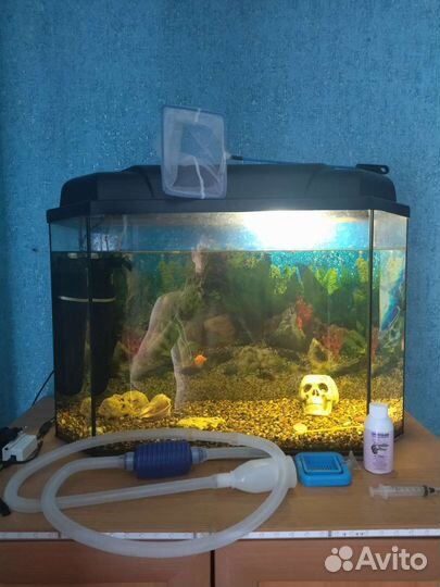 Аквариум