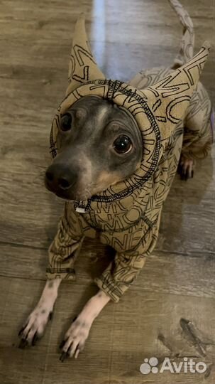 Термо комбинезон для собак/кошек