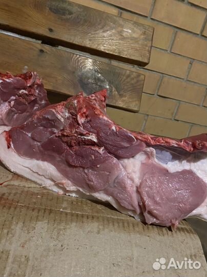 Мясо, свинина домашняя