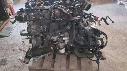 Двигатель Ford Escape 4 MK4
