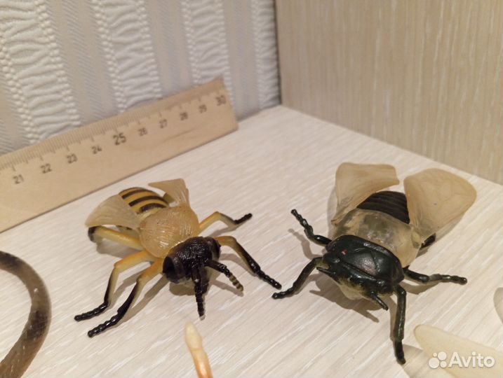 Насекомые и геккон