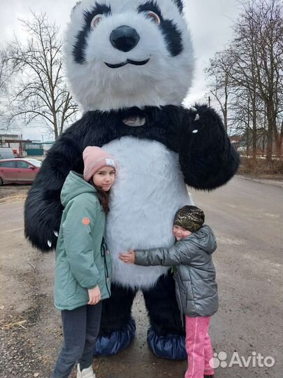 Мишка панда