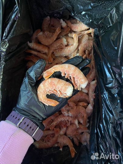 Лангустины без головы с/м