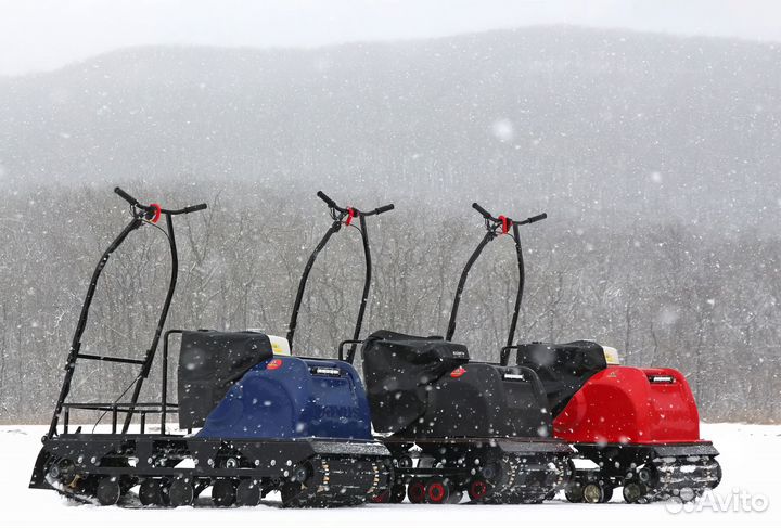 Мотобукс paxus 500 grand 15 л.с. в Рассрочку