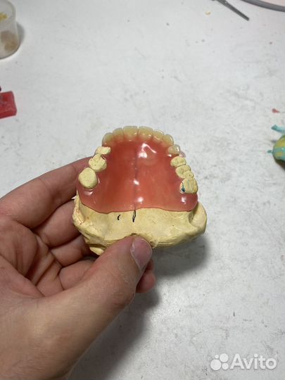 Зу Лаборатория