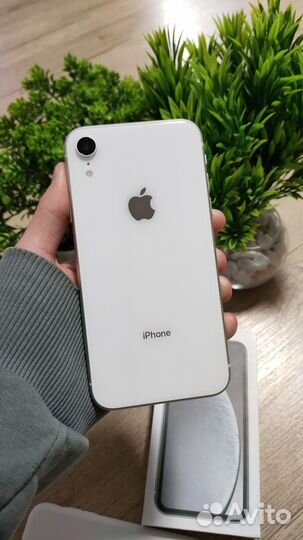 iPhone Xr, 128 ГБ